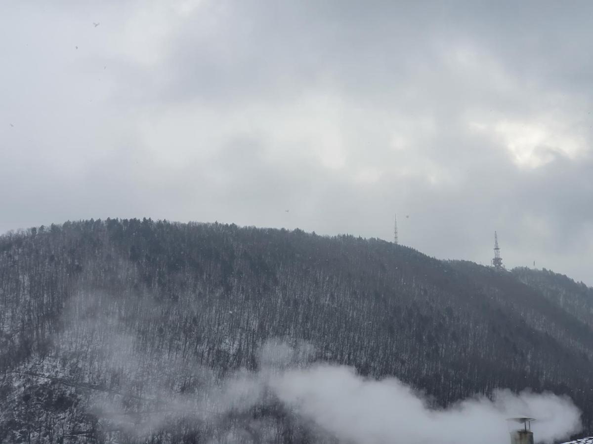 Apart Hotel Vlad Tepes Braşov Buitenkant foto